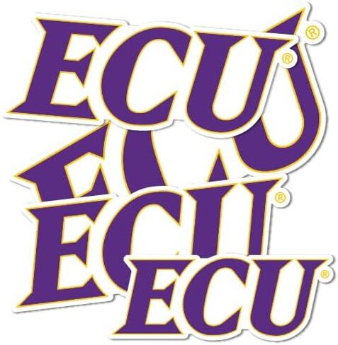 Desert Cactus East Carolina University Pirates ECU Stickers Vinyl Decals Laptop Water Bottle Car Scrapbook 11.39x8.98 Sheet T3 (Type 3-1) in Saudi Arabia