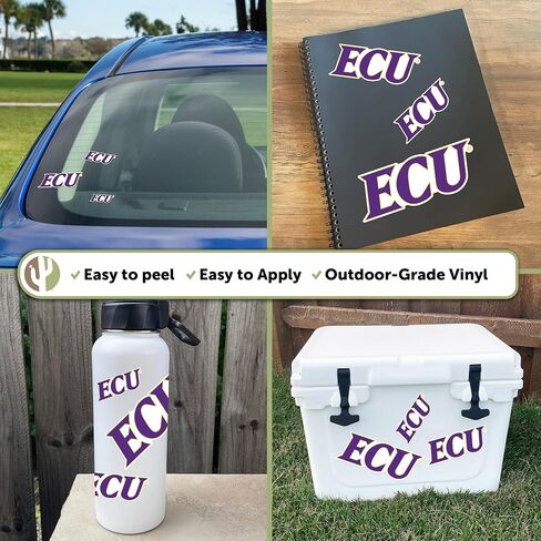 Desert Cactus East Carolina University Pirates ECU Stickers Vinyl Decals Laptop Water Bottle Car Scrapbook 11.39x8.98 Sheet T3 (Type 3-1) in Saudi Arabia