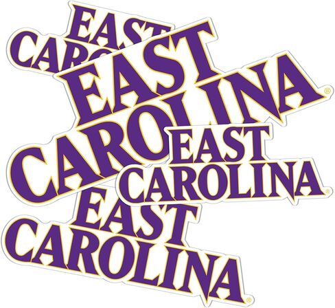 Desert Cactus East Carolina University Pirates ECU Stickers Vinyl Decals Laptop Water Bottle Car Scrapbook 11.39x8.98 Sheet T3 (Type 3-1) in Saudi Arabia