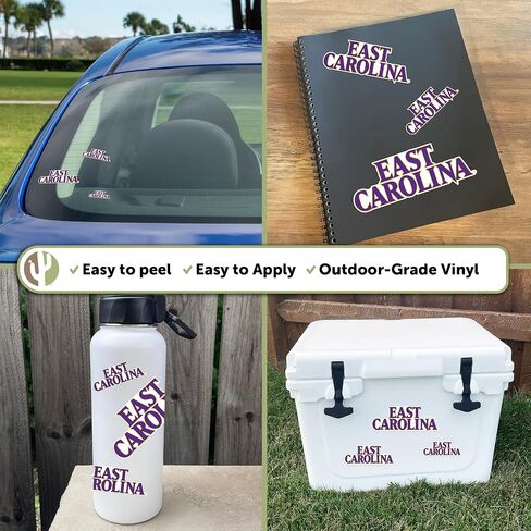 Desert Cactus East Carolina University Pirates ECU Stickers Vinyl Decals Laptop Water Bottle Car Scrapbook 11.39x8.98 Sheet T3 (Type 3-1) in Saudi Arabia