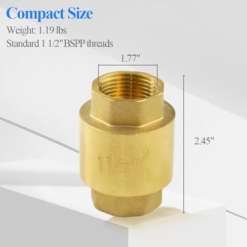 Vertical Spring Check Valve, 1" Thread Brass Check Valve, Easy to Install, One Way Backflow Control Check Valves for Plumbing Water Boiler Heating System (DN25) in Saudi Arabia