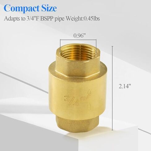 Vertical Spring Check Valve, 1" Thread Brass Check Valve, Easy to Install, One Way Backflow Control Check Valves for Plumbing Water Boiler Heating System (DN25) in Kuwait