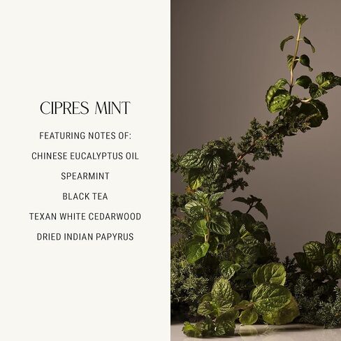 مزيل رائحة العرق للغرفة من هوم كورت، ماندرين باسيل - بخاخ طبيعي للغرفة، 3.4 أونصة - عطر جميل، مزيل رائحة العرق للغرفة للمطبخ والحمام وما بعده in Kuwait