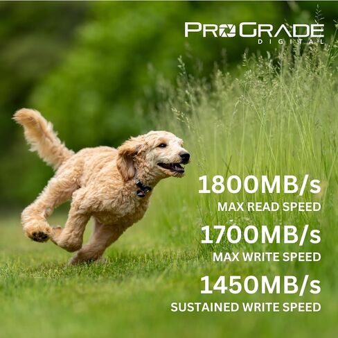 ProGrade Digital CFexpress™ 4.0 Type A Memory Card (480GB) Iridium in Saudi Arabia