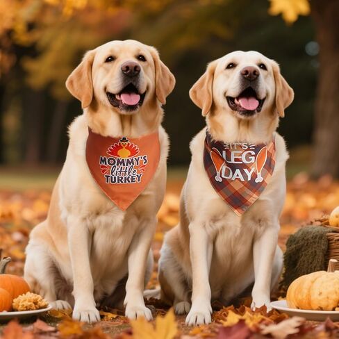 PAWCHIE Big Sister Little Sister Dog Bandana 2 Pack,Pink Pet Dog Scarf Accessories,Dog Triangle Scarf Bibs for Puppy Small Medium Dogs,Baby Announcement Dog Bandana for Girl,Gift for Dog Lover in Kuwait