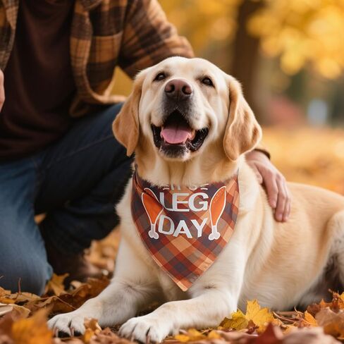 PAWCHIE Big Sister Little Sister Dog Bandana 2 Pack,Pink Pet Dog Scarf Accessories,Dog Triangle Scarf Bibs for Puppy Small Medium Dogs,Baby Announcement Dog Bandana for Girl,Gift for Dog Lover in Kuwait