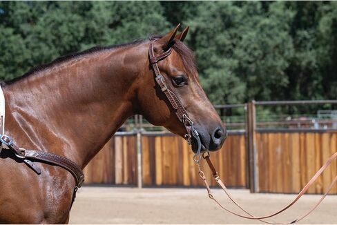 يتميز Weaver Leather Horizons Flat Roper Rein بمشبك مقص وتعديلات كونواي in Saudi Arabia