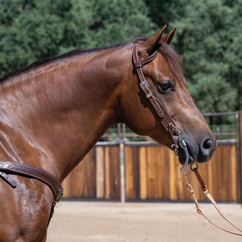يتميز Weaver Leather Horizons Flat Roper Rein بمشبك مقص وتعديلات كونواي in Saudi Arabia