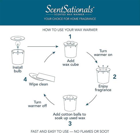 Scentsationals Wax Melt Warmer, for Scented Wax Melts - Day of The Dead Collection Cat Dance - Fragrance Cubes and Tarts in Saudi Arabia