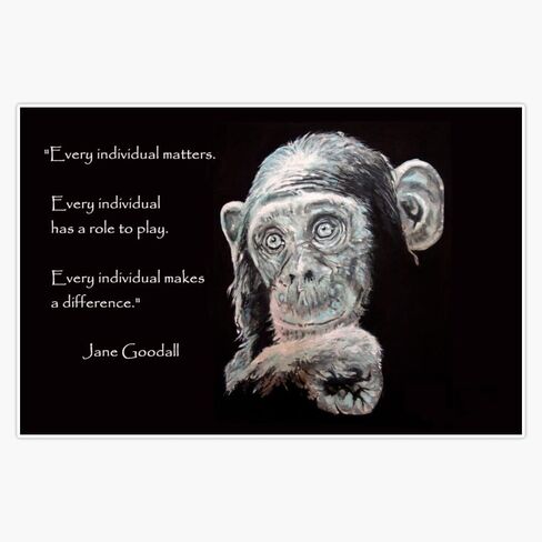 ملصق مغناطيسي مغناطيسي من الفينيل مقاس 5 بوصة من MAGNET A Jane Goodall in Saudi Arabia