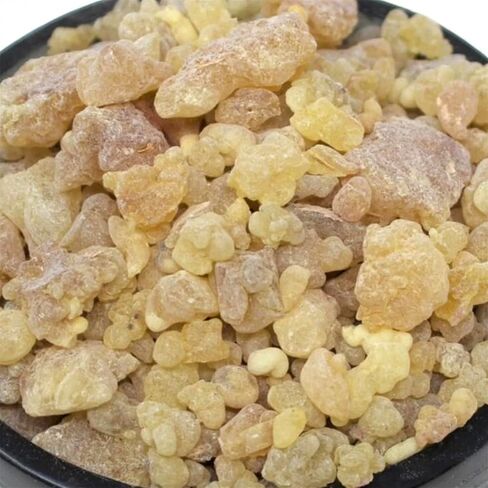 Moroccan Frankincense Resin, 100% Pure Natural Organic Gum Resin, Granular Incense, Aromatic Incense, Premium Quality - لبان الذكر الاصلي in Saudi Arabia