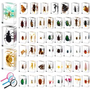 50 Pcs Insect in Resin Specimen Various Bugs Collection Paperweights Bug Kit Preserved in Resin with 3 Magnifier Marine Animal Specimens for Kids Scientific Educational Display Collection