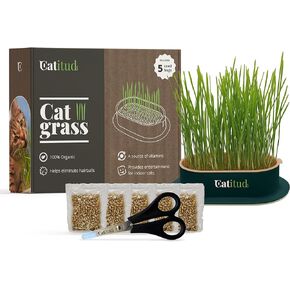 Cat Grass Growing Kit with 5 Packets HYDROPONIC Seeds | Cat Grass Kit Includes Pot with Non-Slip Base | Cat Grass for Indoor Cats with Planter, Best Gift for Cats (Dark Blue with Pink)