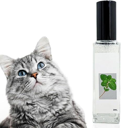 Herbal Cat Joy, Catnip Spray for Indoor Cats, Herbal Cat Joy Spray, Celery Pets Catnip Spray, Herbal Cat Joy, Herbal Cat Joy Celery Pets in Kuwait