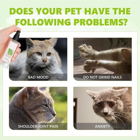 Herbal Cat Joy, Catnip Spray for Indoor Cats, Herbal Cat Joy Spray, Celery Pets Catnip Spray, Herbal Cat Joy, Herbal Cat Joy Celery Pets in Kuwait