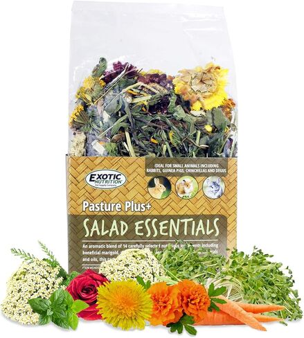 Pasture Plus+ Salad Essentials - Healthy Natural High-Fiber Dried Flower & Herb Treat - Squirrels, Guinea Pigs, Rabbits, Chinchillas, Prairie Dogs, Degus, Hamsters, Gerbils & Other Small Pets in Saudi Arabia