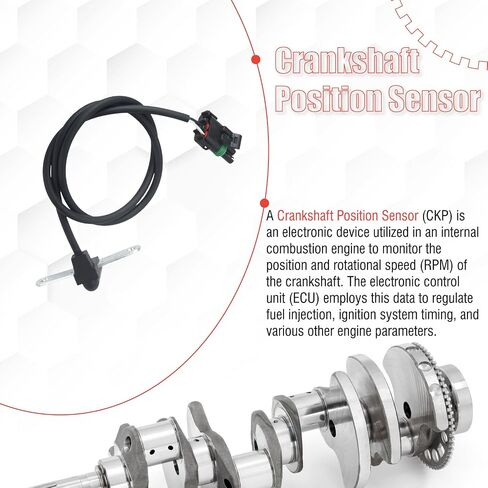 53005423 Crankshaft Position Sensor Compatible with Wagoneer 1985-1990 Cherokee Comanche 1986-1990 Wrangler 1987-1990 Alliance 1983-1987 Encore 1984-1986 in Saudi Arabia