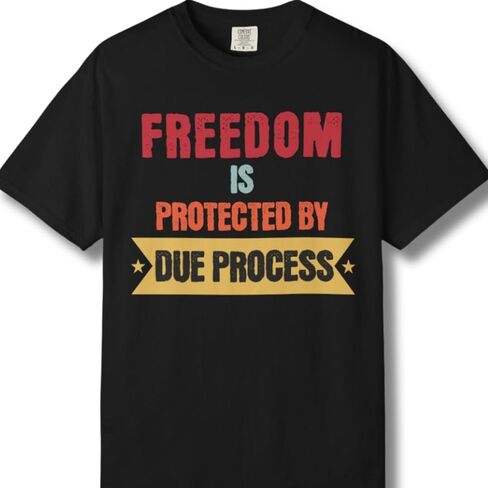 Due Process Protects Freedom T-Shirt, Vintage Patriotic Tee, Independence Day Shirt, Casual Statement for Activists in Saudi Arabia
