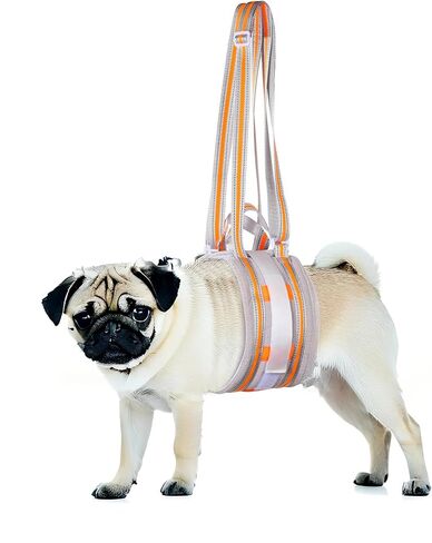 Portable Dog Lift Harness,Dog Sling for Large Dogs Hind Leg Support,Reinforcement Against bunching,Suitable for 30-130 lbs Dogs with Weak Rear Legs, Helps Senior, Injured, Disabled,After ACL Surgery in Saudi Arabia