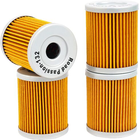 Road Passion 3436005 52010S002 High Performance Oil Filter for Suzuki AN400 Burgman 400 1999-2006 AN400 Burgman Type S 400 2003-2006 (pack of 4) in Saudi Arabia