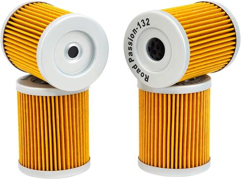 Road Passion 3436005 52010S002 High Performance Oil Filter for Suzuki AN400 Burgman 400 1999-2006 AN400 Burgman Type S 400 2003-2006 (pack of 4) in Saudi Arabia