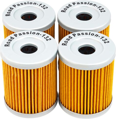 Road Passion 3436005 52010S002 High Performance Oil Filter for Suzuki AN400 Burgman 400 1999-2006 AN400 Burgman Type S 400 2003-2006 (pack of 4) in Saudi Arabia