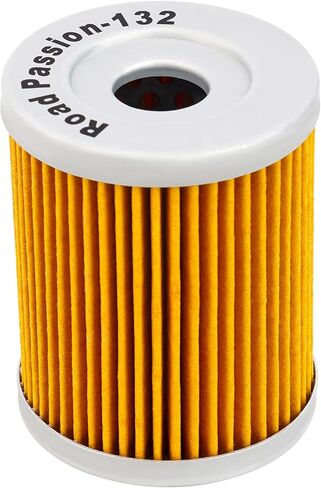 Road Passion 3436005 52010S002 High Performance Oil Filter for Suzuki AN400 Burgman 400 1999-2006 AN400 Burgman Type S 400 2003-2006 (pack of 4) in Saudi Arabia