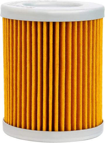 Road Passion 3436005 52010S002 High Performance Oil Filter for Suzuki AN400 Burgman 400 1999-2006 AN400 Burgman Type S 400 2003-2006 (pack of 4) in Saudi Arabia