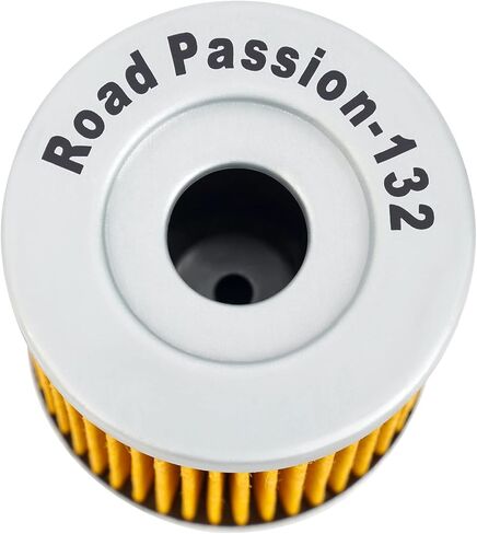 Road Passion 3436005 52010S002 High Performance Oil Filter for Suzuki AN400 Burgman 400 1999-2006 AN400 Burgman Type S 400 2003-2006 (pack of 4) in Saudi Arabia