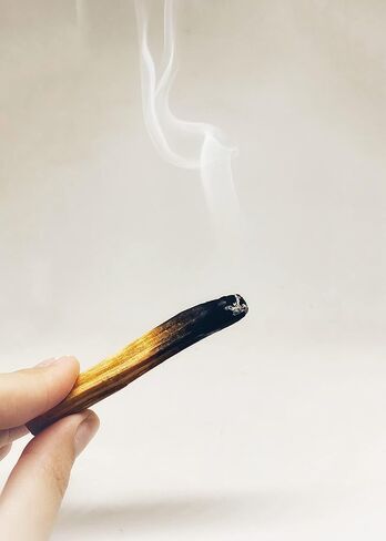 Palo Santo 1 LB Bag (75 Sticks Approx - 4+inches Long) in Saudi Arabia