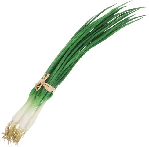 PRETYZOOM Lifelike Artificial Scallions Fake Green Onions Props for Kitchen Decoration Realistic Simulated Vegetable Models for Home and Restaurant Display Decor in Saudi Arabia