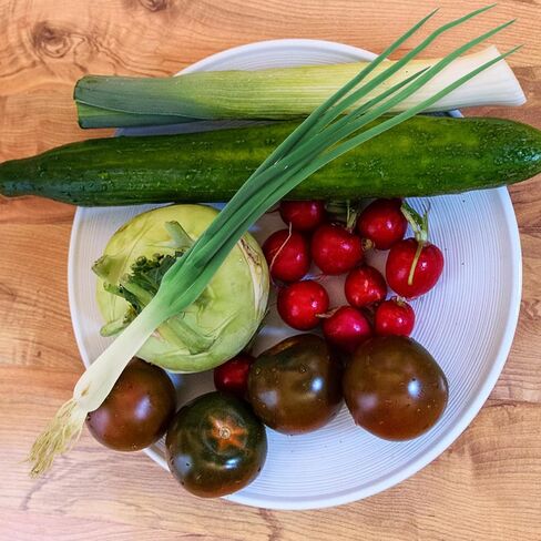 PRETYZOOM Lifelike Artificial Scallions Fake Green Onions Props for Kitchen Decoration Realistic Simulated Vegetable Models for Home and Restaurant Display Decor in Saudi Arabia