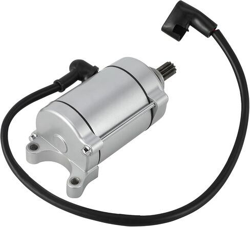 Starter Motor Assembly for Hawk 250,Dirt Bike Starter Motor Assembly for Hawk 250cc in Saudi Arabia