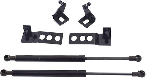 labwork 2pcs Engine Hood Lift Support Shock Strut Damper Replacement for RAV4 2019-2020 in Saudi Arabia