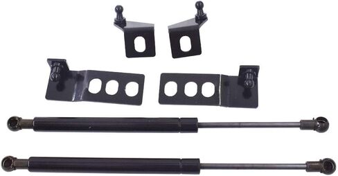 labwork 2pcs Engine Hood Lift Support Shock Strut Damper Replacement for RAV4 2019-2020 in Saudi Arabia