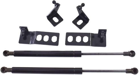 labwork 2pcs Engine Hood Lift Support Shock Strut Damper Replacement for RAV4 2019-2020 in Saudi Arabia
