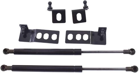 labwork 2pcs Engine Hood Lift Support Shock Strut Damper Replacement for RAV4 2019-2020 in Saudi Arabia