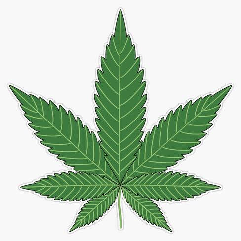 Weed Sticker Bumper Sticker Vinyl Decal 5" in Saudi Arabia