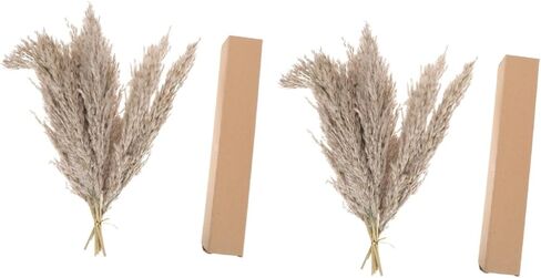 Zerodeko 2sets Nordic Dried Flower Arrangement Preserved Flower Bouquet for Home Decor Wedding and Party Decoration Natural Dried Flora Beautiful Aesthetic in Saudi Arabia