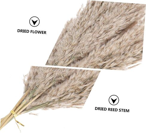 Zerodeko 2sets Nordic Dried Flower Arrangement Preserved Flower Bouquet for Home Decor Wedding and Party Decoration Natural Dried Flora Beautiful Aesthetic in Saudi Arabia