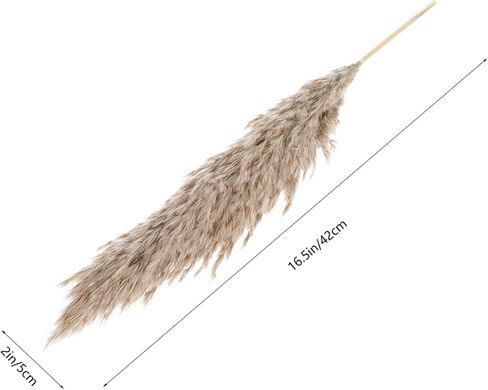 Zerodeko 2sets Nordic Dried Flower Arrangement Preserved Flower Bouquet for Home Decor Wedding and Party Decoration Natural Dried Flora Beautiful Aesthetic in Saudi Arabia