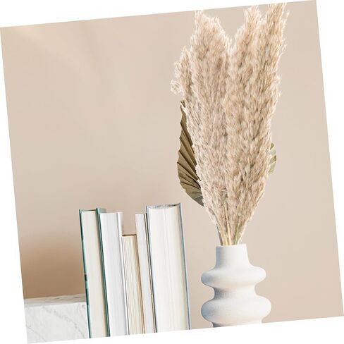 Zerodeko 2sets Nordic Dried Flower Arrangement Preserved Flower Bouquet for Home Decor Wedding and Party Decoration Natural Dried Flora Beautiful Aesthetic in Saudi Arabia
