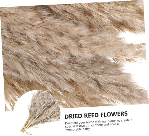 Zerodeko 2sets Nordic Dried Flower Arrangement Preserved Flower Bouquet for Home Decor Wedding and Party Decoration Natural Dried Flora Beautiful Aesthetic in Saudi Arabia
