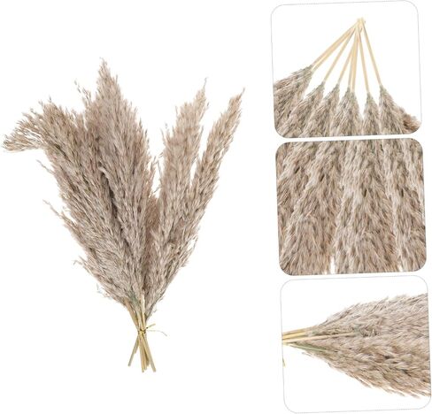 Zerodeko 2sets Nordic Dried Flower Arrangement Preserved Flower Bouquet for Home Decor Wedding and Party Decoration Natural Dried Flora Beautiful Aesthetic in Saudi Arabia