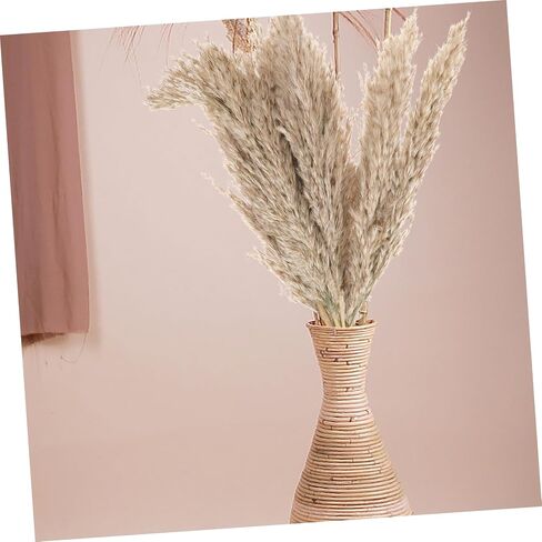 Zerodeko 2sets Nordic Dried Flower Arrangement Preserved Flower Bouquet for Home Decor Wedding and Party Decoration Natural Dried Flora Beautiful Aesthetic in Saudi Arabia