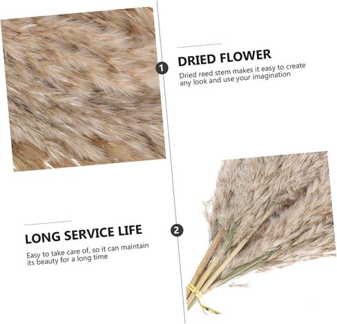 Zerodeko 2sets Nordic Dried Flower Arrangement Preserved Flower Bouquet for Home Decor Wedding and Party Decoration Natural Dried Flora Beautiful Aesthetic in Saudi Arabia