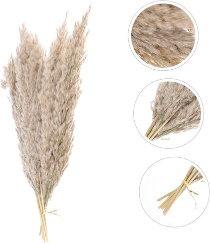 Zerodeko 2sets Nordic Dried Flower Arrangement Preserved Flower Bouquet for Home Decor Wedding and Party Decoration Natural Dried Flora Beautiful Aesthetic in Saudi Arabia