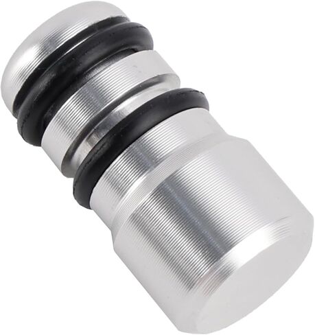 Areyourshop Oil Dipstick Tube LS Engine Oil Pan Plug 551113 for LS1/LS3/LT1/LQ4 LQ9 LS6 L92 L99 L33 LR4 L82 L83 L84 L86 L87 LT1 L8B & All LS/LT Engines (5.7L 6.0L 6.2L),Silver in Saudi Arabia