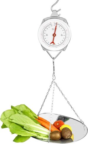 QWORK Precision Scale Scoop/Chain with Basket, 20 lbs Load Capacity, Mini Steel Crane Scale, for Garage Farm Fishing Outdoor, 1 Pack in Saudi Arabia