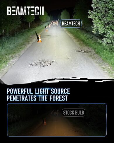 BEAMTECH H11/H9/H8 Bulbs, 900% Brighter Canbus Ready 6500K White Light or Fog Light, 2 Bulbs. in Saudi Arabia